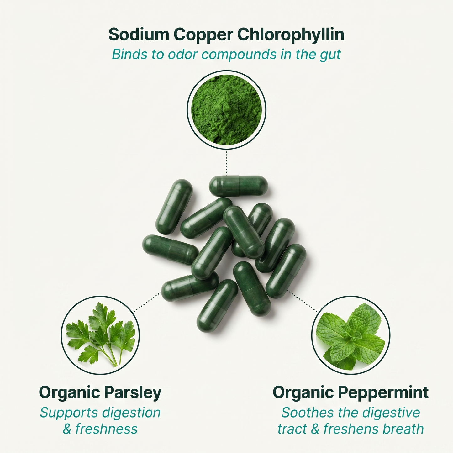 Deos® Body Deodorizer