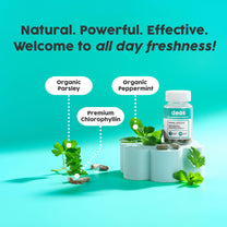 Suplemento desodorante corporal interno Desodorante corporal natural