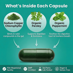 90-Day Odor Elimination System