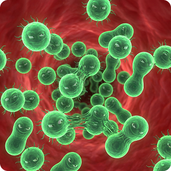 Bacteria feed on the compounds, allowing them to mass multiply